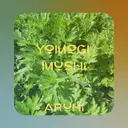 ARUHI よもぎ蒸しのプロフィール画像