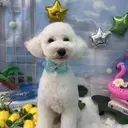 Salon de N sayakaのプロフィール画像