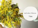 🫧Mimosa 吉祥寺のプロフィール画像