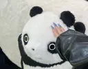 COCOA🩵 Knailのプロフィール画像