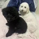 北條 雅樹のプロフィール画像