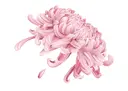 MIYABI 神楽坂のプロフィール画像