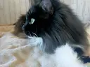 横井 寿江のプロフィール画像