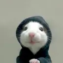 矢崎 愛のプロフィール画像