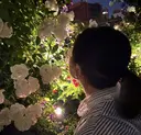 kameda nailのプロフィール画像