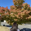 坂本 葵のプロフィール画像