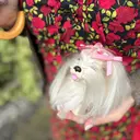 齋藤 香織のプロフィール画像
