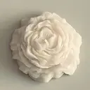 𝐻𝑎𝑛𝑎 / hwaのプロフィール画像