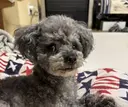 あんどう じゅりのプロフィール画像