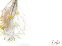 Lila 堺東店のプロフィール画像