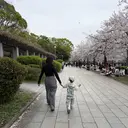 park miyukiのプロフィール画像
