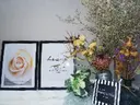 infinity skyのプロフィール画像