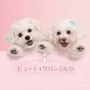 ビューティサロン ミルクのプロフィール画像