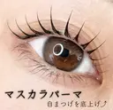 eyelash if(鈴鹿)のプロフィール画像