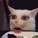 中畑 まりなのプロフィール画像