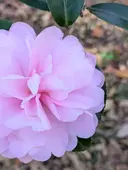ユニティ 佐藤 千鶴のプロフィール画像