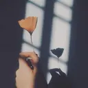 T. Ayakoのプロフィール画像