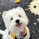 マル コのプロフィール画像