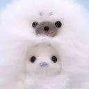 遠藤 芽のプロフィール画像