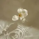 梅田Eyelist |chinatsuのプロフィール画像