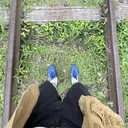 西城 モニカのプロフィール画像