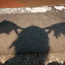森野 夏未のプロフィール画像