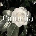 博多メンズサロン 【Camélia】のプロフィール画像