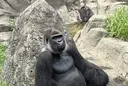 山崎 愛里のプロフィール画像