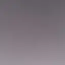 谷口 穂果のプロフィール画像