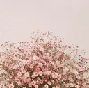 room  川越 Hirokoのプロフィール画像