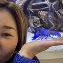 マサキ チカのプロフィール画像