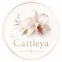 Cattleya 中目黒のプロフィール画像