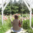 アルターエクラ 合間のプロフィール画像