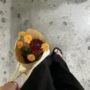 ando rihoのプロフィール画像