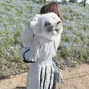 shiori nailのプロフィール画像