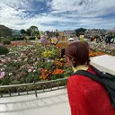 🌷島田 つかさ🌷のプロフィール画像