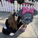 MORI KOKONAのプロフィール画像