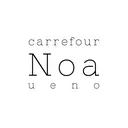 Noa 上野のプロフィール画像