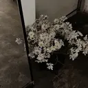 yur【ユル】 元町のプロフィール画像