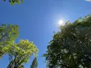 ecrin エクラン maiのプロフィール画像