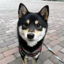 e& tomokaのプロフィール画像
