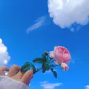 CHERIR サチコのプロフィール画像