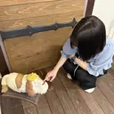 オオマ 🐥のプロフィール画像
