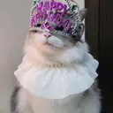 ななみ まつぱのプロフィール画像
