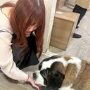 エハラ ルナのプロフィール画像
