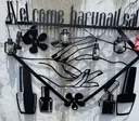haru nailのプロフィール画像