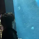 楓🍁/髪質改善💎 /透明感カラー🔮のプロフィール画像