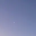 鶴岡 萌々のプロフィール画像
