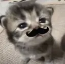 森田 ちえのプロフィール画像