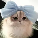 ユメ🩵下北沢《 マツパ・アイブロウ》のプロフィール画像